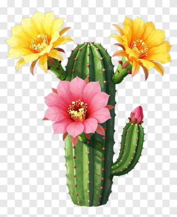 Cactus With Colorful Flowers PNG