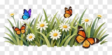 Butterflies Among Daisies In A Grass Field PNG