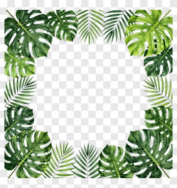 Tropical Leaf Frame PNG