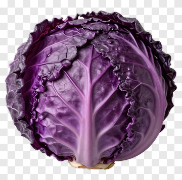 Purple Cabbage PNG