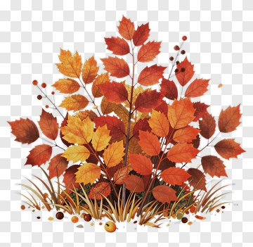Colorful Autumn Leaves In A Natural Setting PNG
