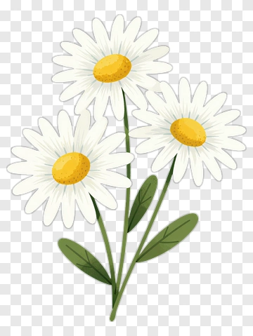 Flower Bouquet With White Daisies PNG