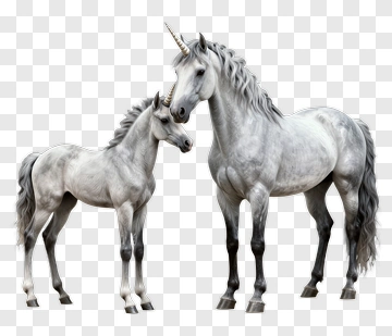 Unicorn Mother And Foal PNG