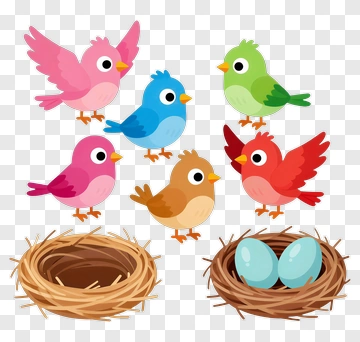 Colorful Cartoon Birds And Nests PNG
