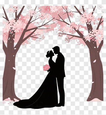 Wedding Couple Under Cherry Blossom Trees PNG