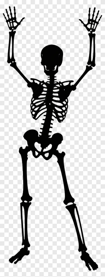 Cartoon Skeleton Raising Hands PNG