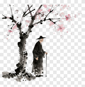 Elderly Man Walking Under Cherry Blossom Tree PNG