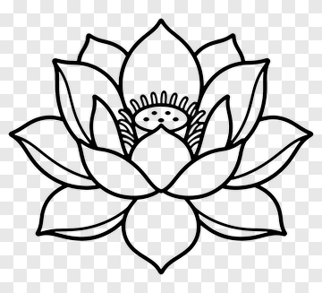 Lotus Flower Outline PNG