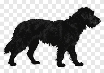 Black Dog Standing Profile PNG