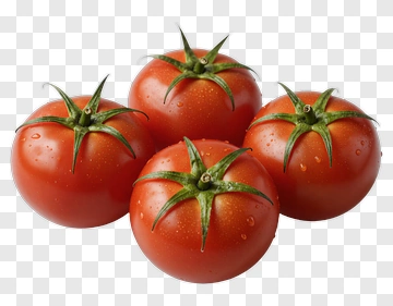 Fresh Tomatoes PNG