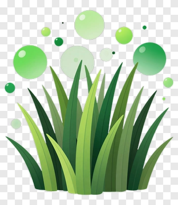 Green Grass With Bubbles PNG