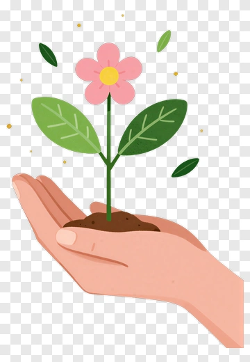 Hand Holding A Flower Plant PNG