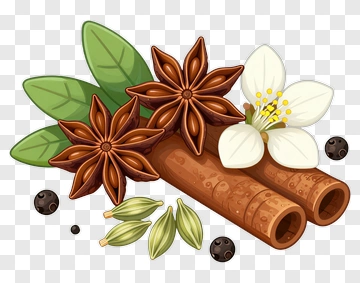 Spices And Herbs Composition With Cinnamon And Star Anise PNG