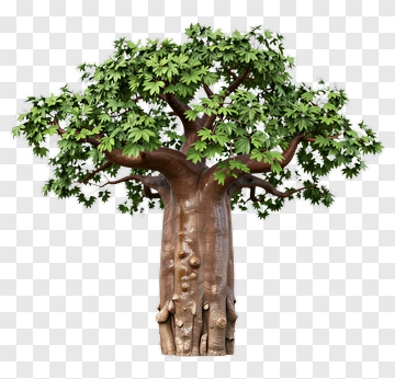 3D Tree With Green Leaves PNG