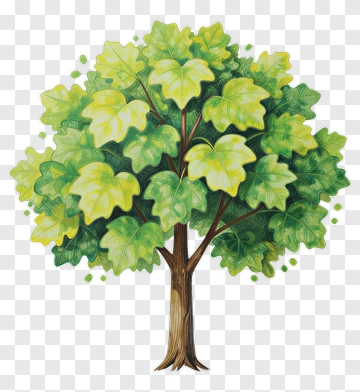 Colorful Tree PNG
