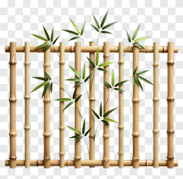 Bamboo Fence With Green Leaves PNG