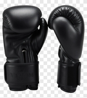 Black Boxing Gloves PNG