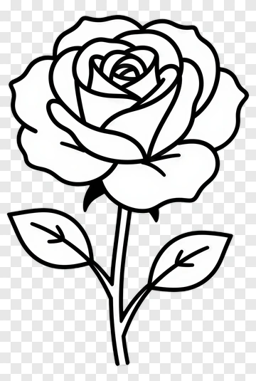 Black And White Rose Illustration PNG
