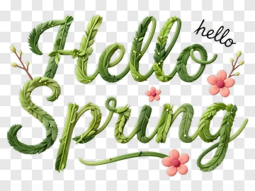 Hello Spring Text With Floral Elements PNG