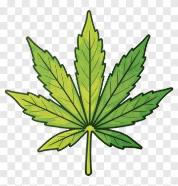 Green Cannabis Leaf PNG