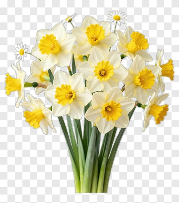 Bouquet Of Daffodils And Daisies PNG