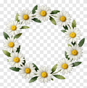 Daisy Flower Wreath PNG