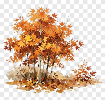 Colorful Autumn Tree PNG