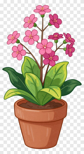 Colorful Flower Pot With Pink Blossoms PNG