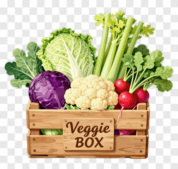 Veggie Box Filled With Fresh Vegetables PNG
