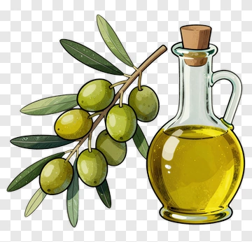 Olive Oil With Olive Branch PNG