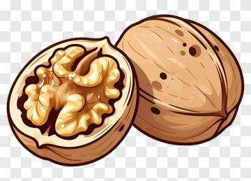 Walnut Halved With Shell PNG