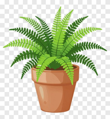 Felt Potted Fern Plant PNG