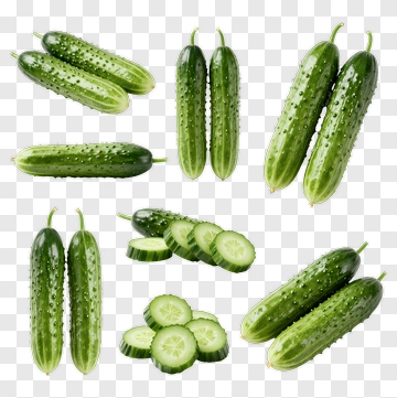 Fresh Cucumbers Collection PNG