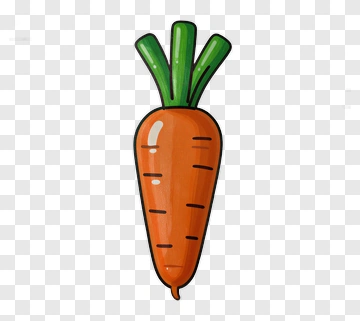 Cartoon Carrot PNG