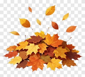Autumn Leaves Pile PNG
