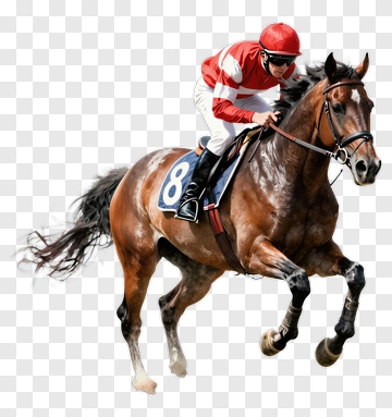 Jockey Riding A Racing Horse PNG
