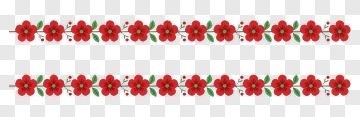 Red Flower Border Pattern PNG