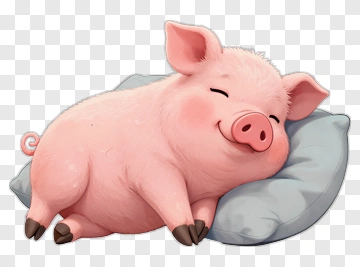Cartoon Pig Sleeping On A Pillow PNG