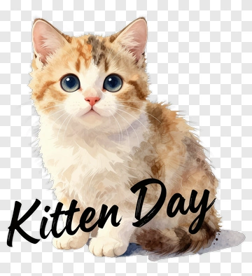 Cute Kitten For Kitten Day PNG