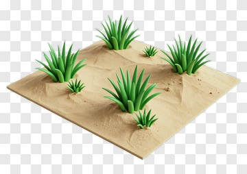 Desert Landscape With Green Plants PNG