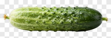 Fresh Cucumber PNG