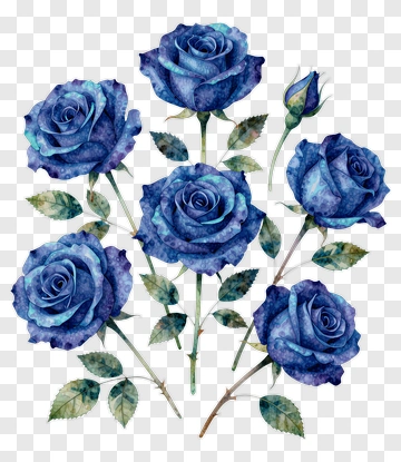 Watercolor Blue Roses Bouquet PNG