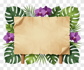 Tropical Frame With Orchid Flowers And Green Leaves PNG