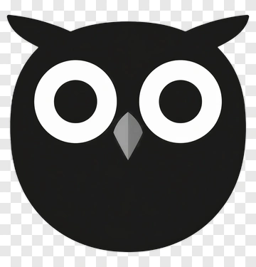 Cartoon Owl Face PNG