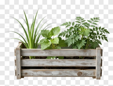 Wooden Planter Box With Green Plants PNG