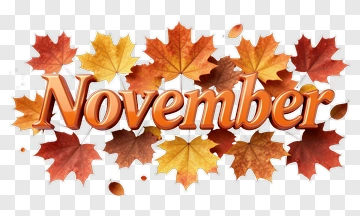 November Text With Autumn Leaves PNG