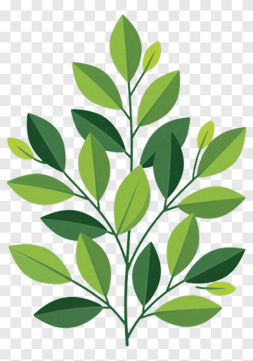 Colorful Leafy Branch PNG