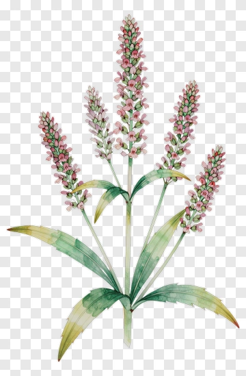 Watercolor Flower Bouquet PNG