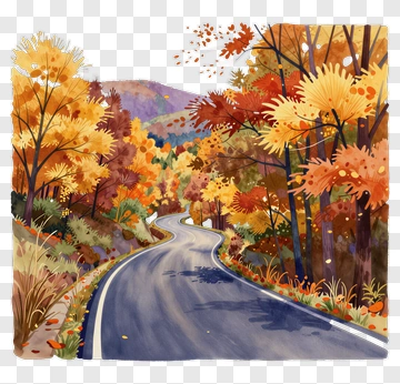 Autumn Road In A Colorful Forest PNG