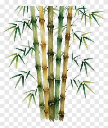 Watercolor Bamboo Stalks PNG